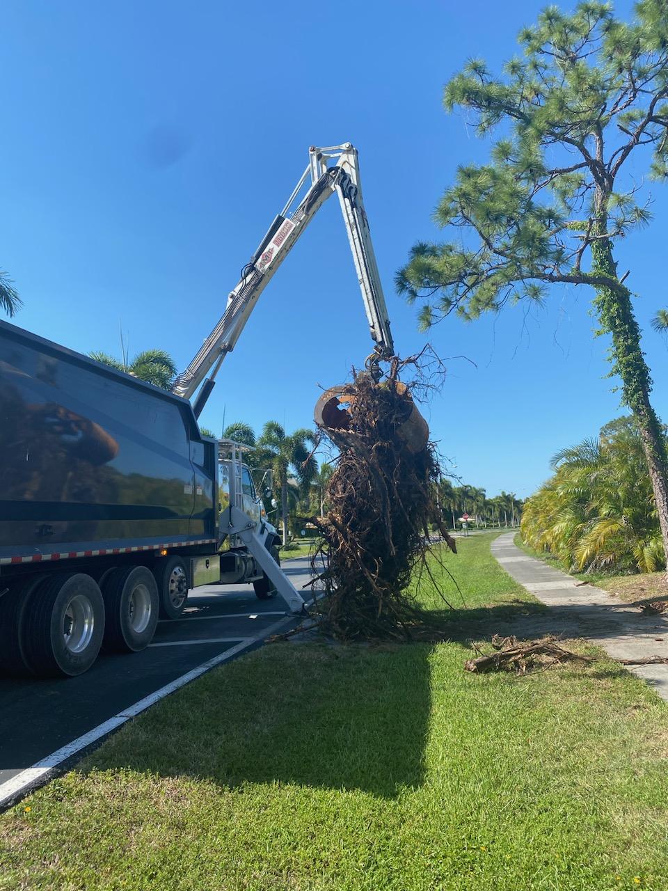 junk removal palm beach county